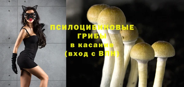 стаф Армянск