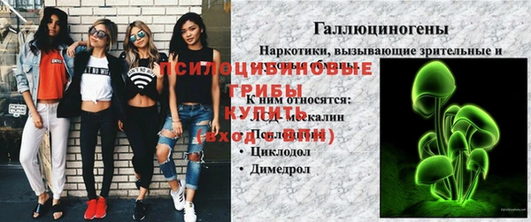 стаф Армянск