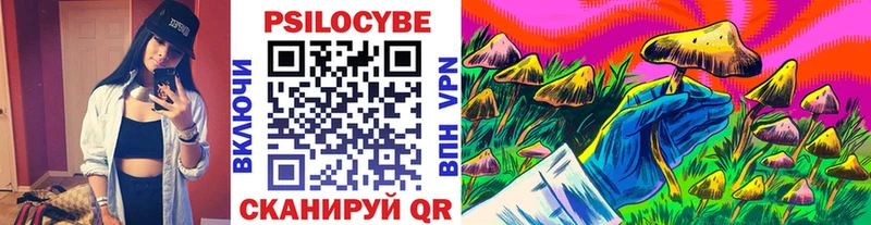 Галлюциногенные грибы прущие грибы  blacksprut как зайти  Гвардейск 